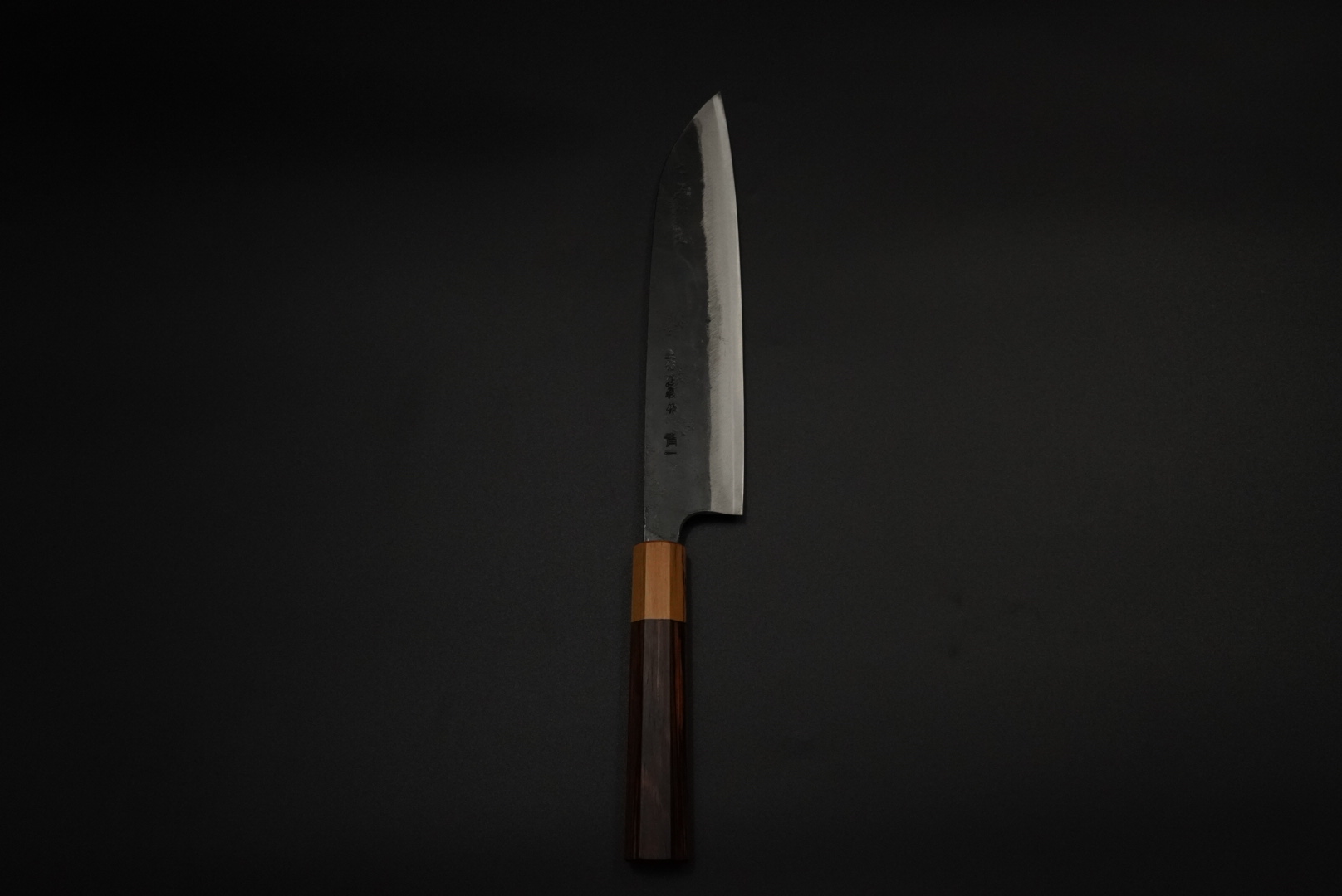Tadayoshi Aogami #1 Gyuto Satsuma 210mm